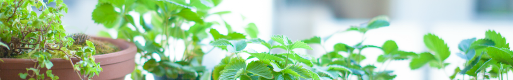 さいたま市の眼科|スカイ眼科大宮クリニックー白内障手術と眼内レンズ