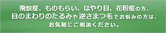 スカイ眼科-飛蚊症、ものもらい、はやり目、花粉症
